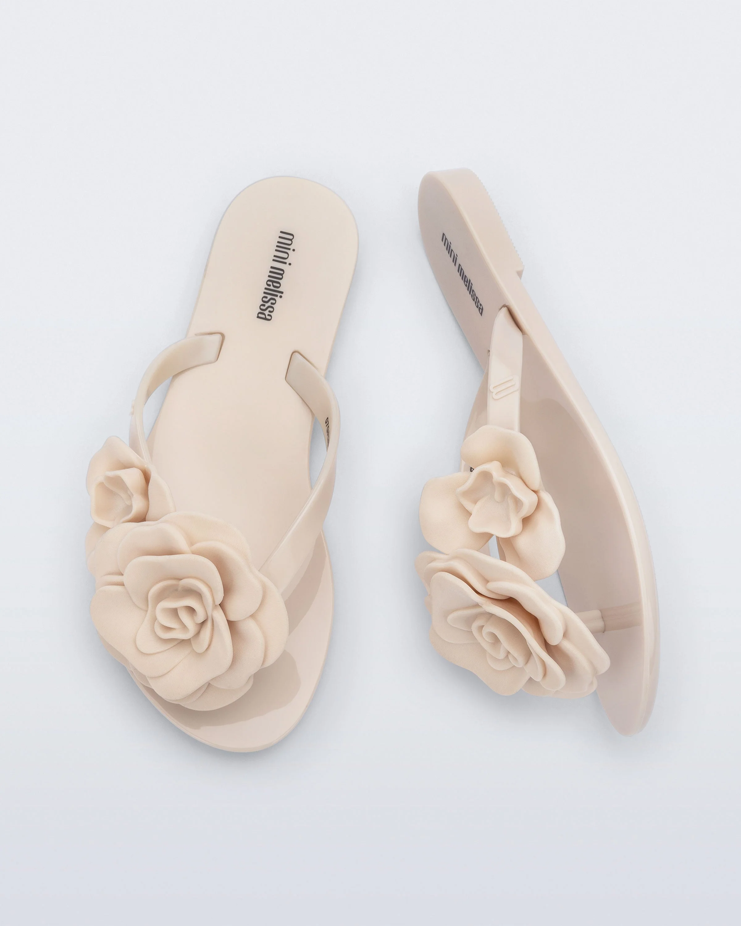 Harmonic Petals